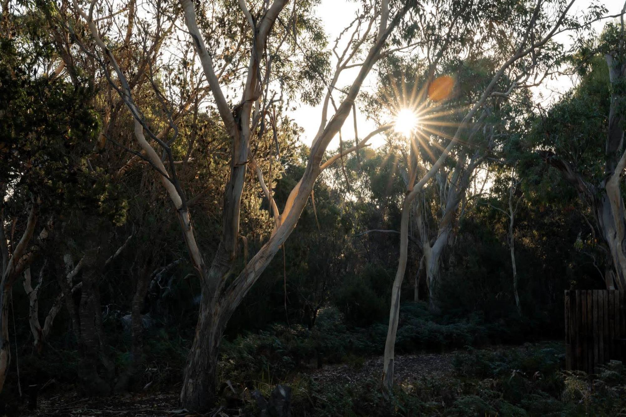 Numie - Freycinet Peninsula - Glamping - Heated - Waterfront Hotel Coles Bay Luaran gambar