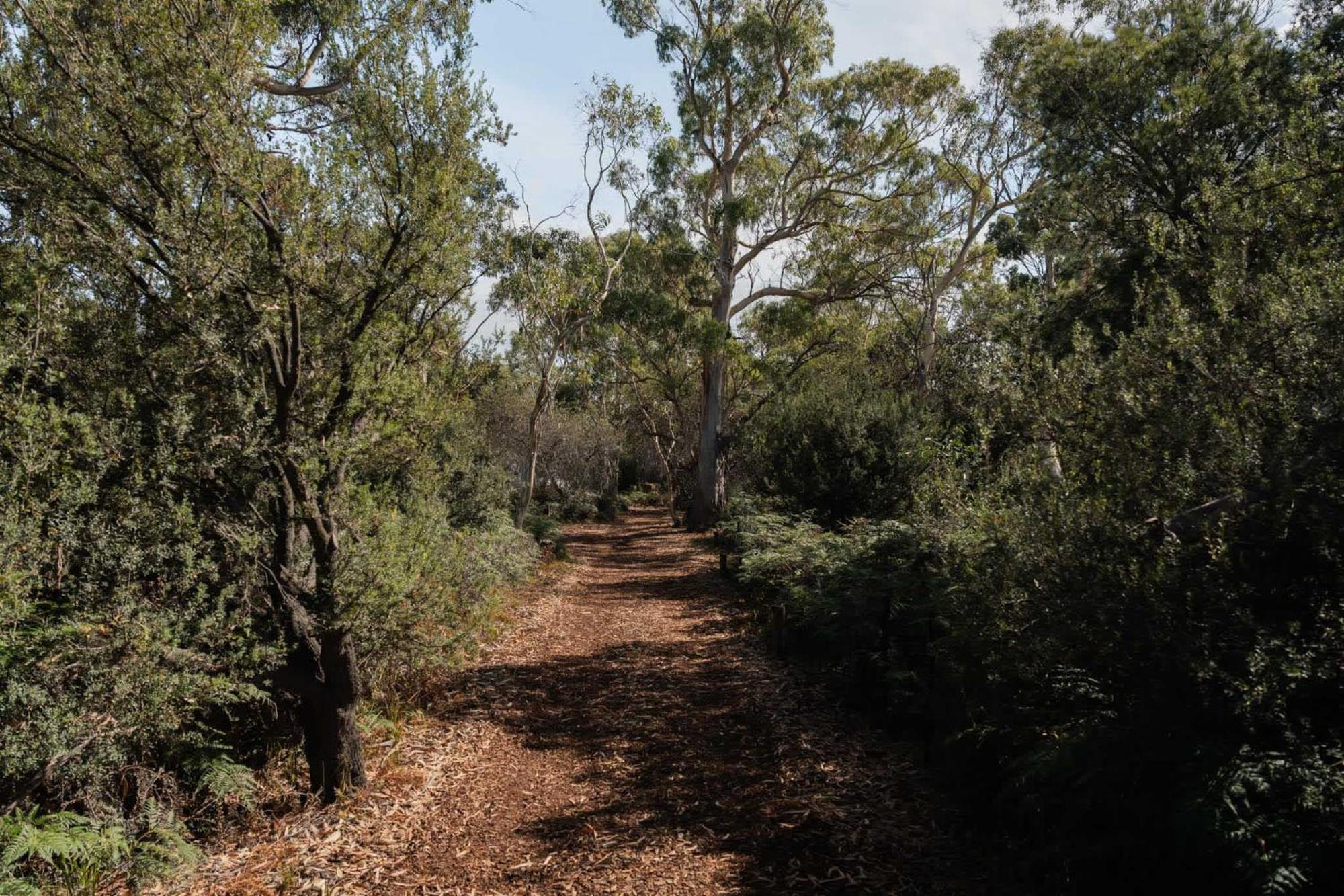 Numie - Freycinet Peninsula - Glamping - Heated - Waterfront Hotel Coles Bay Luaran gambar