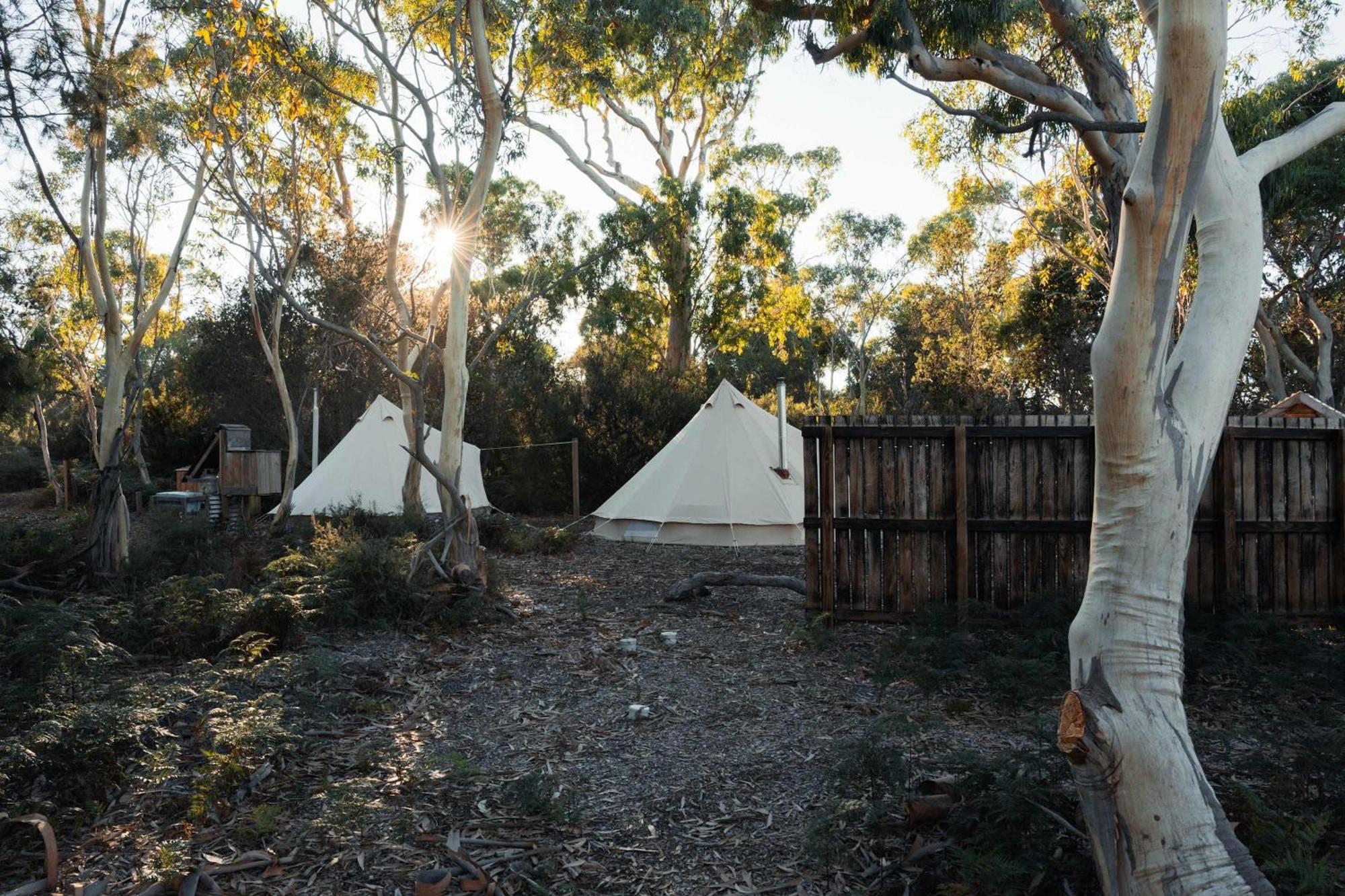 Numie - Freycinet Peninsula - Glamping - Heated - Waterfront Hotel Coles Bay Luaran gambar