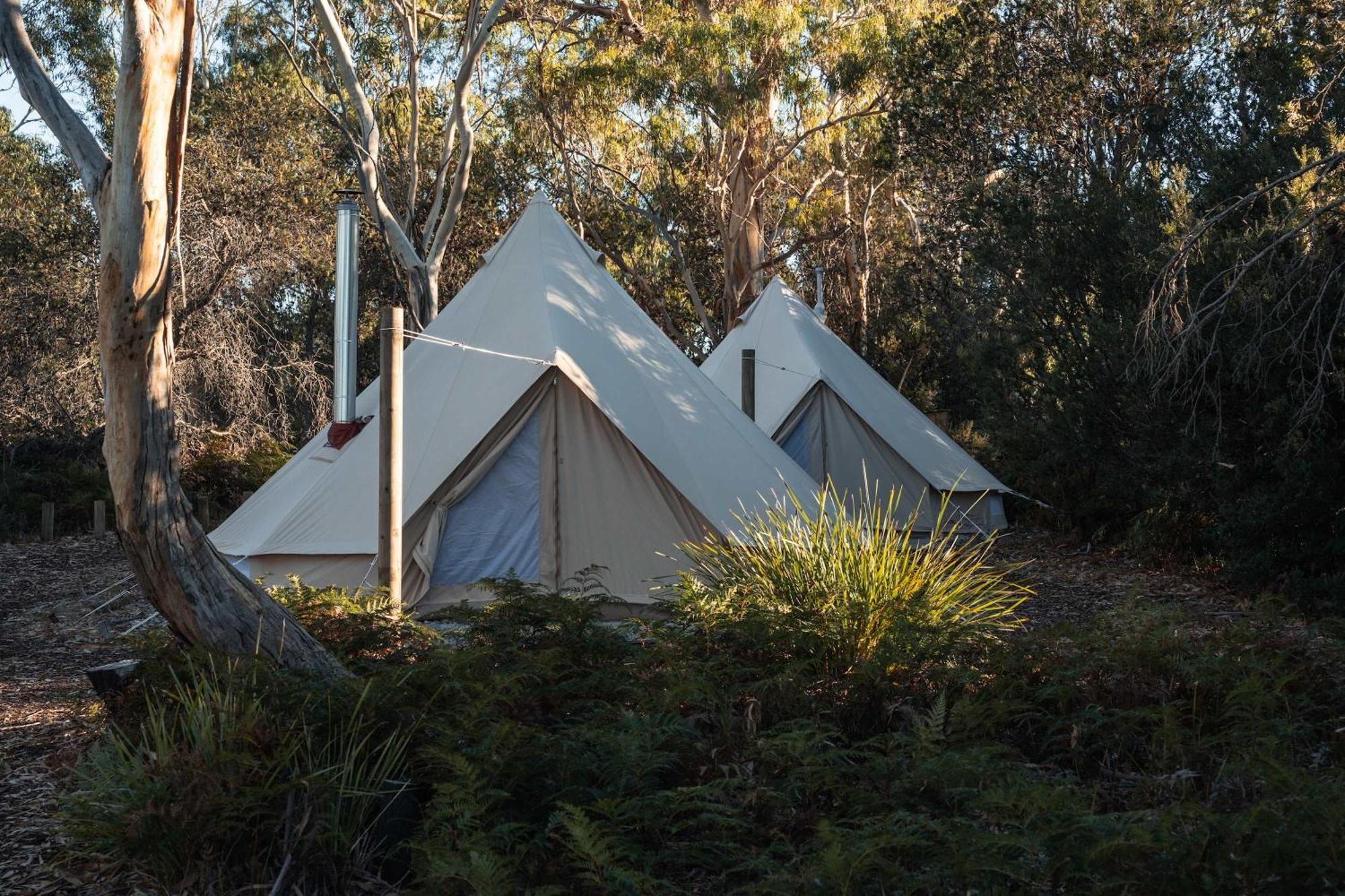 Numie - Freycinet Peninsula - Glamping - Heated - Waterfront Hotel Coles Bay Luaran gambar