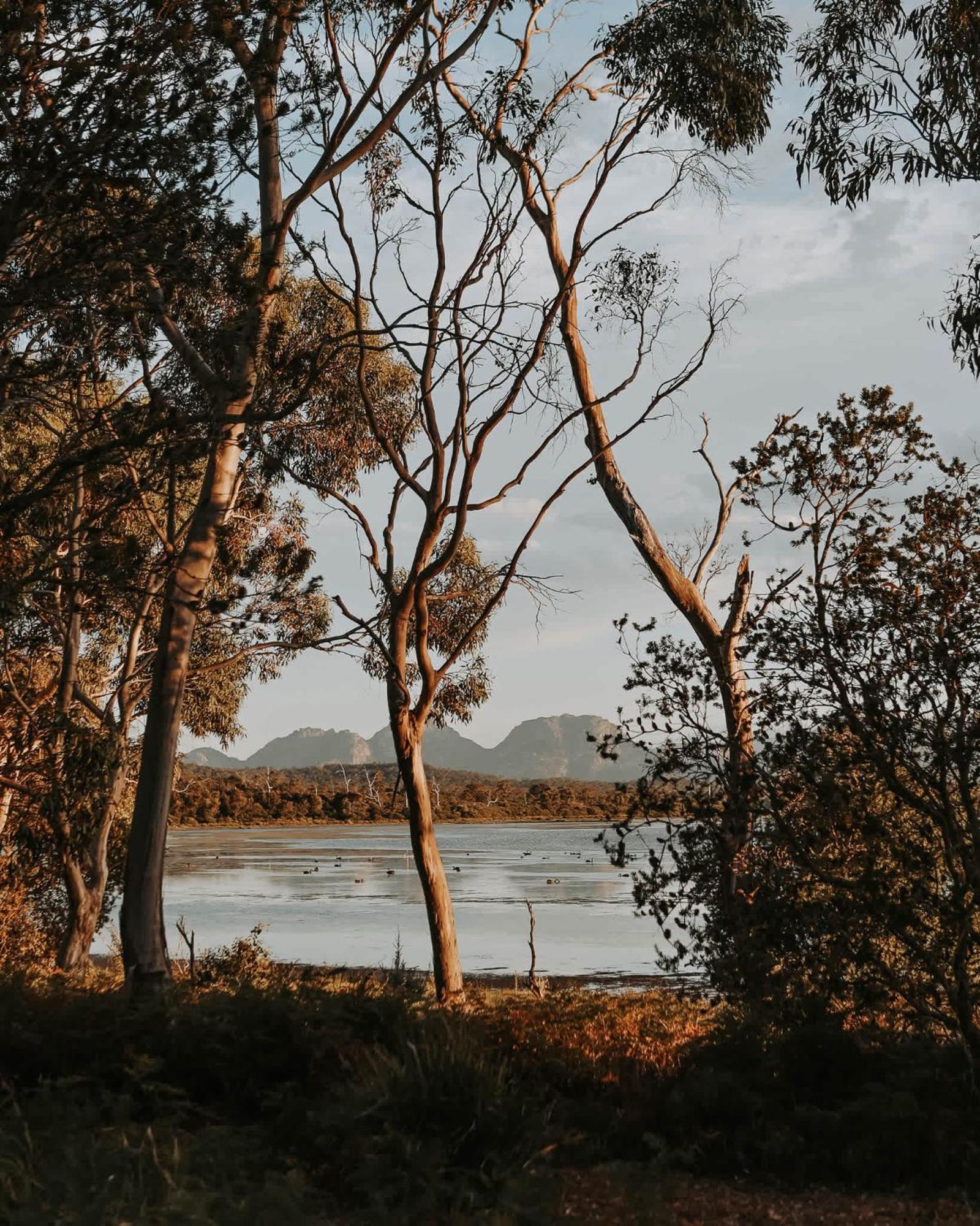 Numie - Freycinet Peninsula - Glamping - Heated - Waterfront Hotel Coles Bay Luaran gambar